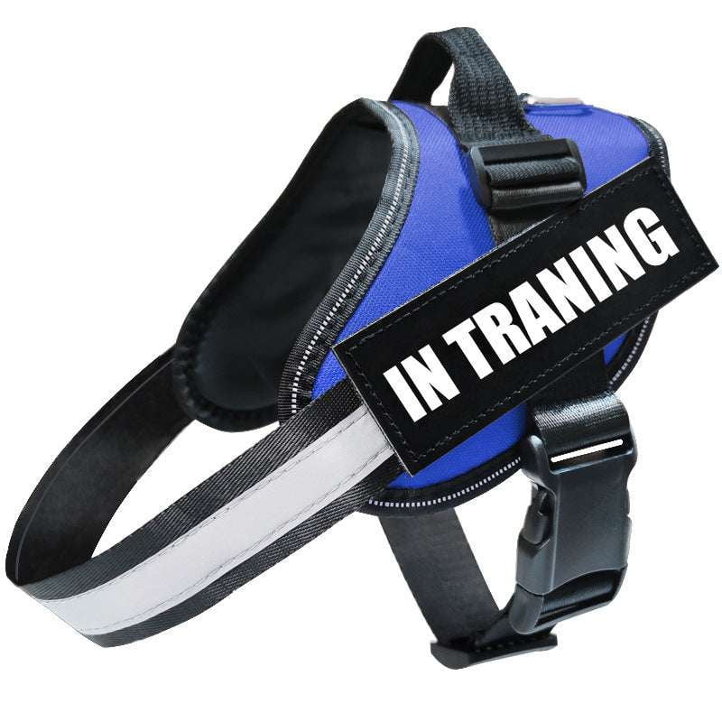 Comfortable Pet Harness, Daily Use Dog Leash, Strong Nighttime Dog Leash - available at Sparq Mart