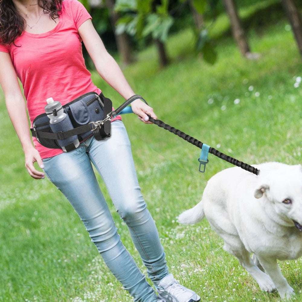 Canine Jogging Pouch, Dog Walking Bag, Waist Bag Leash - available at Sparq Mart