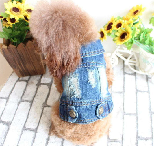 Canine Fashion Vest, Pet Denim Vest, Summer Dog Apparel - available at Sparq Mart