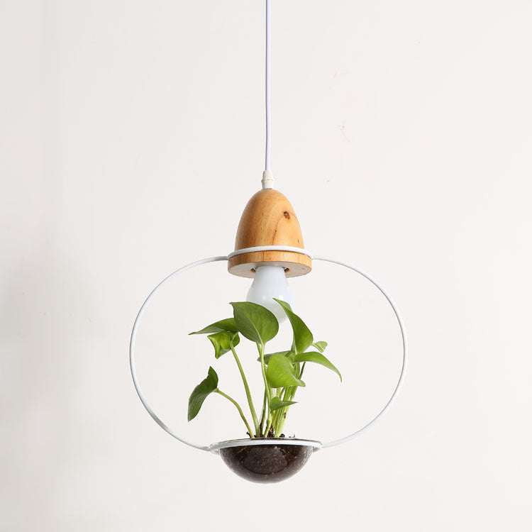 Decorative Plant Lights, Indoor Hanging Plants, Modern Chandelier Plants - available at Sparq Mart